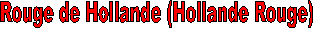 Rouge de Hollande (Hollande Rouge)